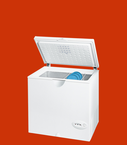 Indesit OF 220 - Freezer