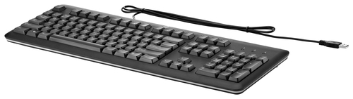 HP QY776AA tastatur Kontor USB Sort
