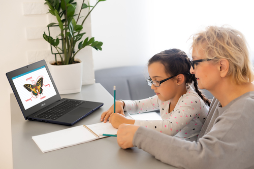 ASUS Chromebook CZ11 CZ1104CM4A-NS0145 MediaTek Kompanio 540 – image 9