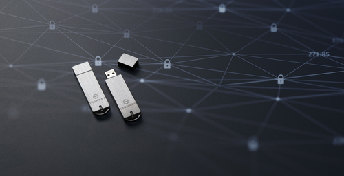 Kingston Technology IronKey 128GB Enterprise S1000 Encrypted USB 3.0 FIPS 140-2 Level 3 imagen 10