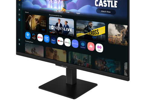Monitores SAMSUNG LS27FM500ELXZX