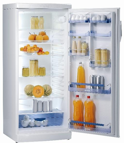 Gorenje R6298W fridge Freestanding White