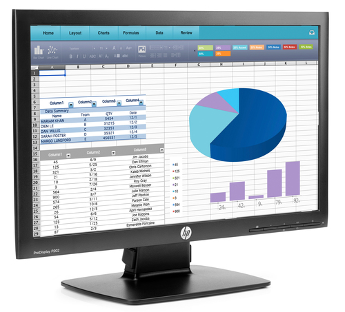 HP ProDisplay P202 – image 3