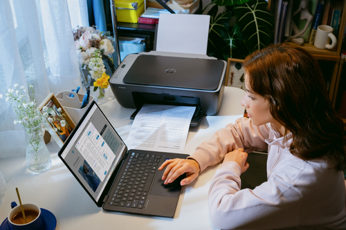 HP Inc. Urządzenie wielofunkcyjne DeskJet 2920 All-in-One 89F97B