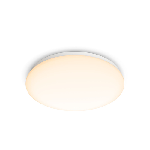 Philips Funktsionaalne 8719514443853 laevalgusti LED