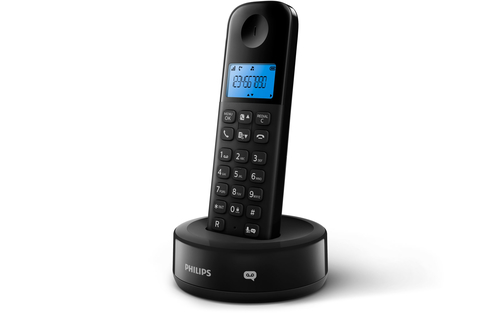 Philips Cordless phone with answering machine D1351B/05