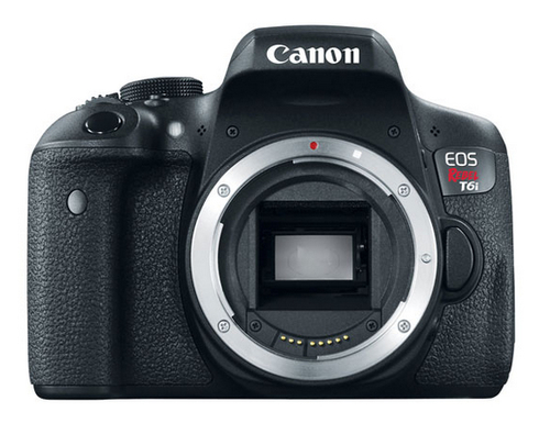 Canon Rebel T6i EF-S EF 75-300mm f/4.0-5.6 III
