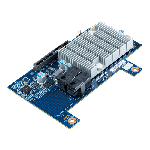 GIGABYTE CSA6648 interface cards/adapter Internal Mini-SAS
