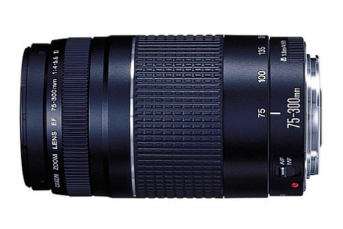 Canon EF 75-300mm f/4-5.6 II