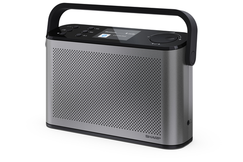 DR-P540 GY Radio Digital