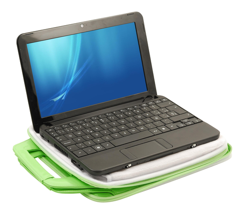 NGS Green Ladybird 10" – image 2