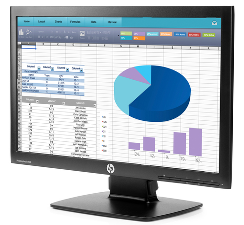 HP ProDisplay P202 – image 2