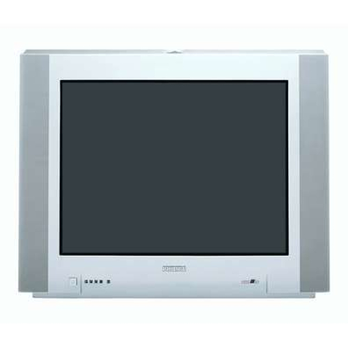 Philips 29" 100Hz Dolby Virtual Real Flat TV