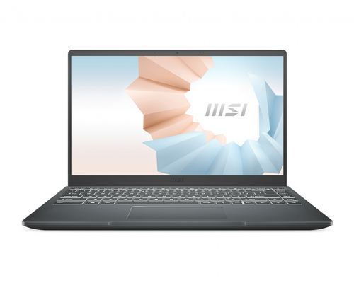 MSI Modern B10MW-057XFR Intel® Core™ i5 i5-10210U Laptop