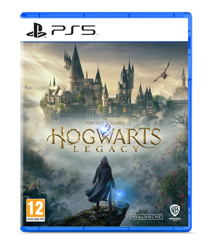 Sony Interactive Entertainment Hogwarts Legacy Стандартная PlayStation 5