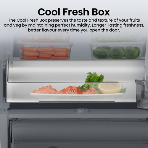 Hisense RL3K370SAIE fridge Freestanding – image 7