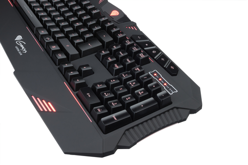 GENESIS RX66 keyboard Gaming USB QWERTY Black – image 5