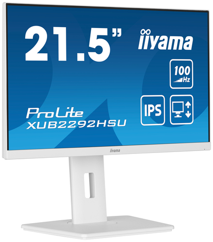 iiyama ProLite XUB2292HSU-W6 computer monitor