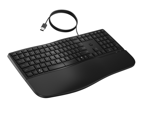 HP 485 CFT WD KBD – image 2