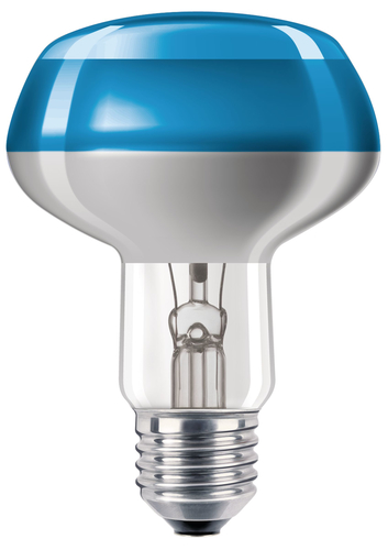 Philips Incand. colored refl. lamp 871150035883725 hõõgpirn 60 W E27