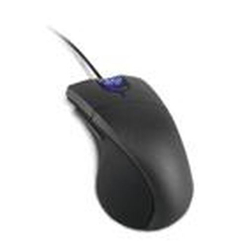 Lenovo 31P8700 hiir USB Type-A + PS/2 Optiline 800 DPI
