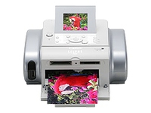 Canon SELPHY DS810 fotoprinter 4800 x 1200 DPI