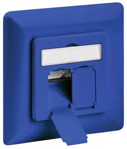 Intellinet 771535 socket-outlet 2 x RJ-45 Blue