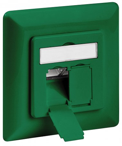 Intellinet 771597