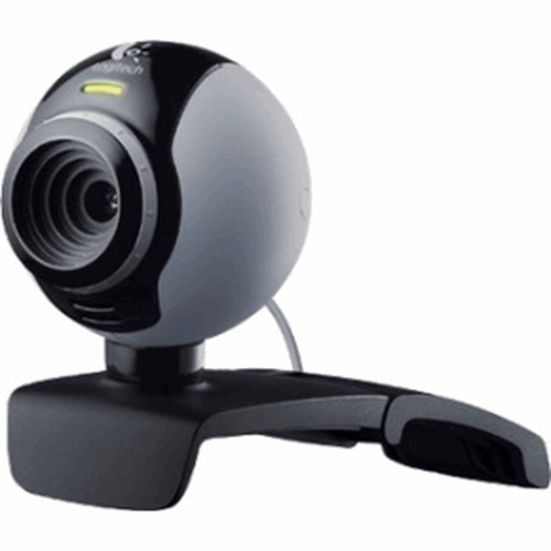 Logitech C250 veebikaamera 1,3 MP 800 x 600 pikslit USB 2.0 Must, Hõbe