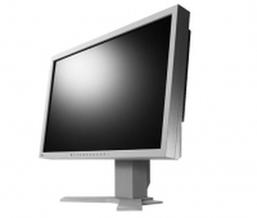 EIZO S2243W kompiuterio monitorius 55,9 cm (22) 1920 x 1200 pikseliai Pilka