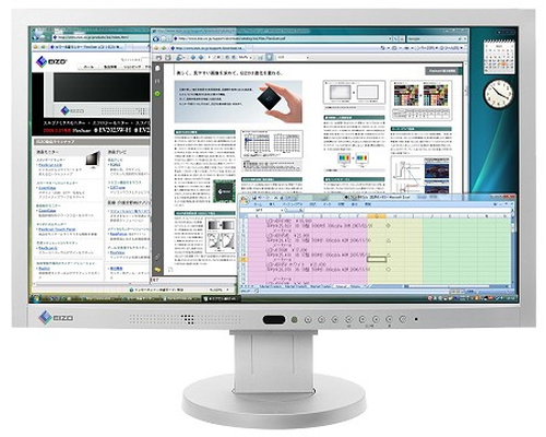 EIZO EV2023W kompiuterio monitorius 50,8 cm (20) 1600 x 900 pikseliai Pilka