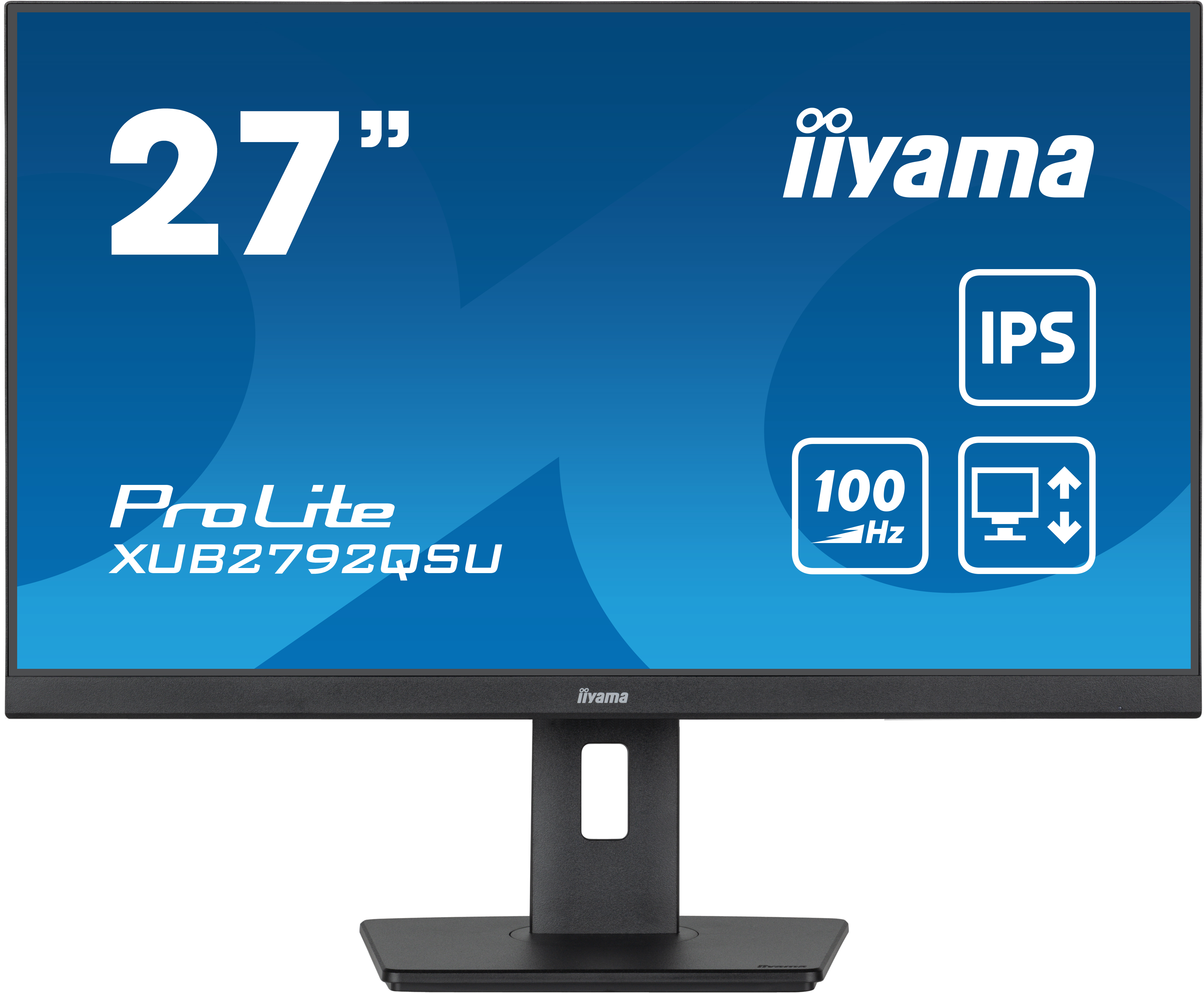 iiyama ProLite