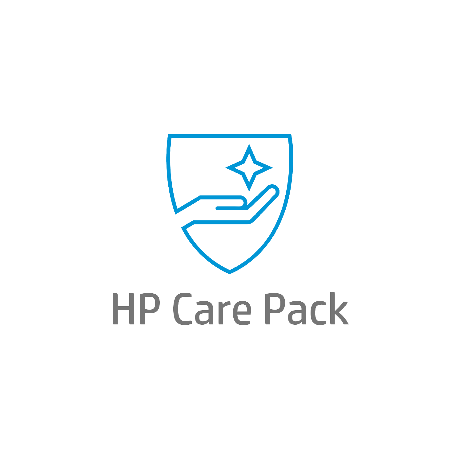 HP 5y Next Business Day Response Advanced Exchange Large Display Hardware Support