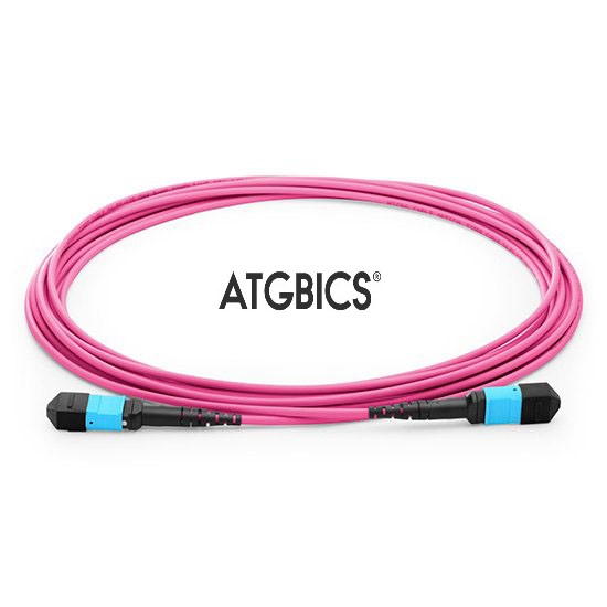 TCAB-24MTPFF-OM4-1M