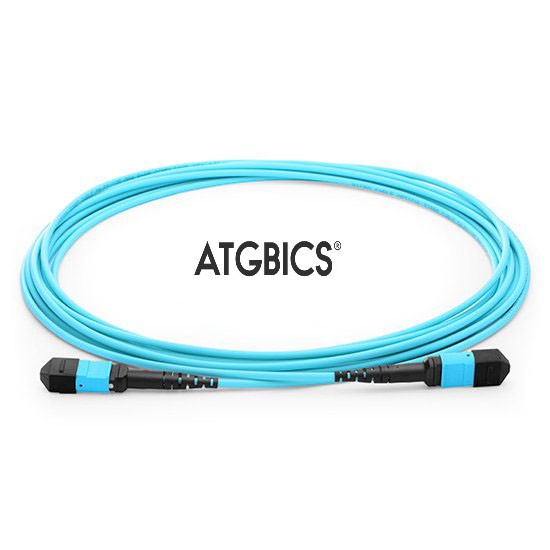 TCAB-24MTPFF-OM3-5M