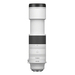Canon RF 200-800mm f/6.3-9 IS USM