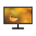 Dahua Technology LM19-L200 computer monitor 48.3 cm (19″) 1600 x 900 pixels HD+ LCD Black thumbnail 1