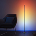 Govee Floor Lamp Basic