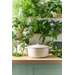 Tefal LOV Lage Braadpan 28 cm Groen