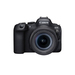 Canon EOS R6 II + RF 24-105mm