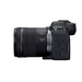 Canon EOS R6 II + RF 24-105mm
