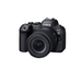Canon EOS R6 II + RF 24-105mm