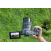 Canon EOS R8 + RF 24-50mm lens