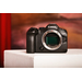 Canon EOS R6 Mark III + RF 24-105mm f/4-7.1 IS STM