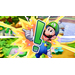 Mario & Luigi Brothership Nintendo Switch
