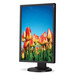 NEC MultiSync E222W computer monitor 55.9 cm (22″) 1680 x 1050 pixels LED Black thumbnail 6