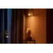 Philips Hue Argenta Opbouwspot White and Color - Wit - 1-spots