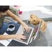 ASUS Vivobook 14 Copilot+ PC M1407GA-LY012W