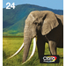 Epson 24 Cartridges Combo Pack