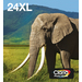 Epson 24XL Cartridges Combo Pack